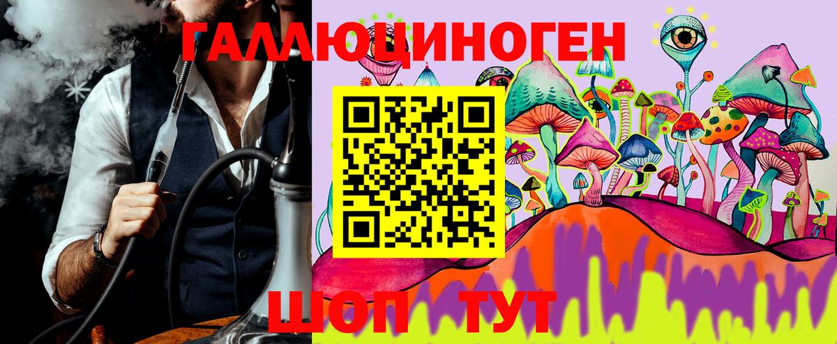 Псилоцибиновые грибы Cubensis  Вход с VPN  Ефремов 