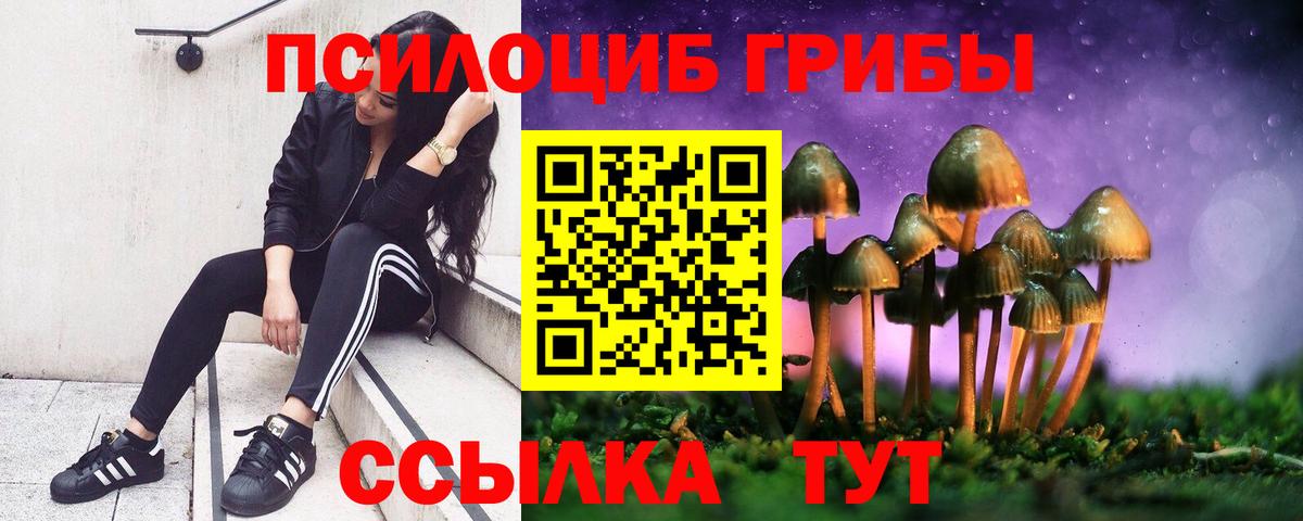 Псилоцибиновые грибы GOLDEN TEACHER Ефремов